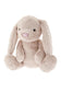 Fluffy Stuffed Rabbit – Superzachte Pluche Hondenspeelgoed met Knisperoren