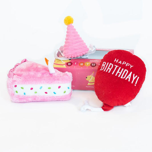 Zippy Paws | Pup Birthday Box Pink