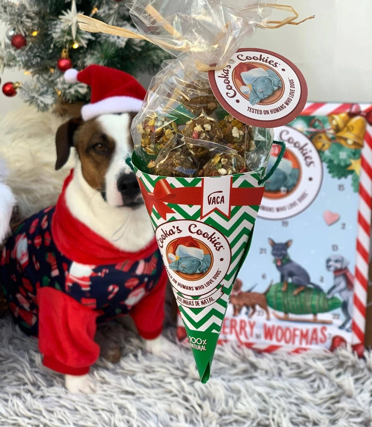 Cooka´s Cookies | Woofmas Balls – Kip & Tonijn