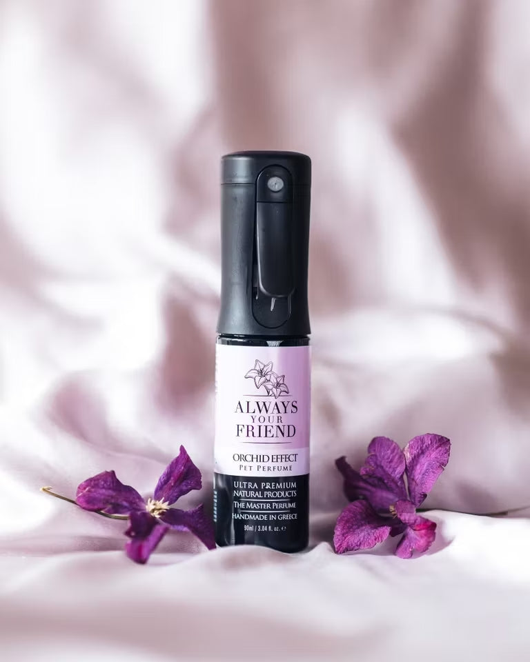 Always Your Friend – Orchid Effect Pet Parfum