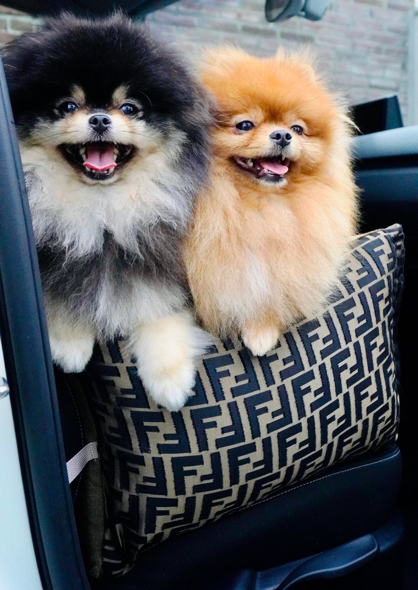 Autostoel FF print Bruin/Brons - Golden Poms
