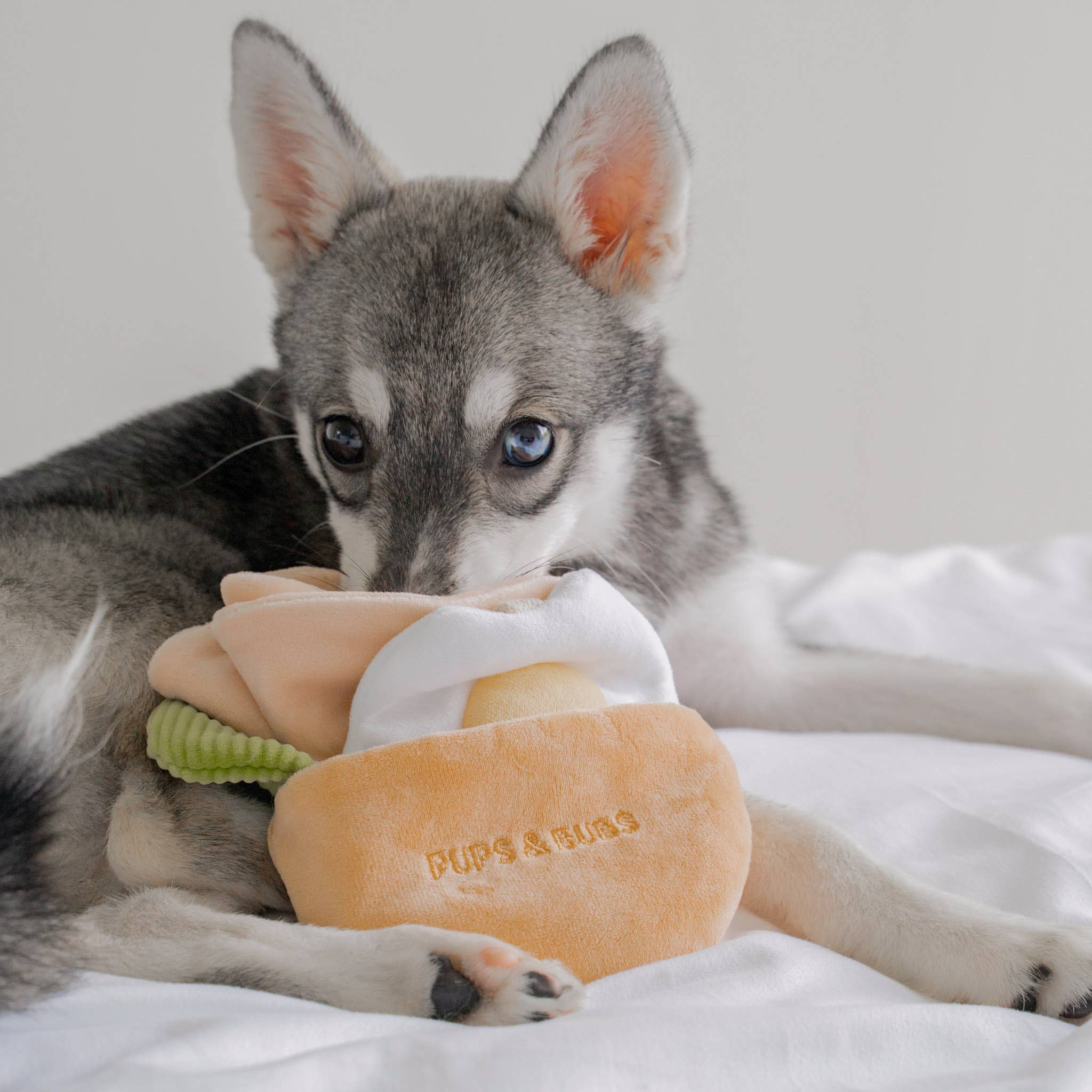 Pups & Bubs - Pita Pocket Neuswerk Speelgoed
