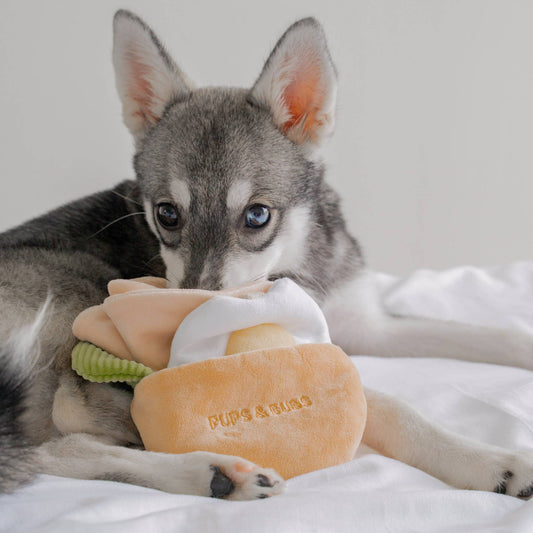 Pups & Bubs - Pita Pocket Neuswerk Speelgoed