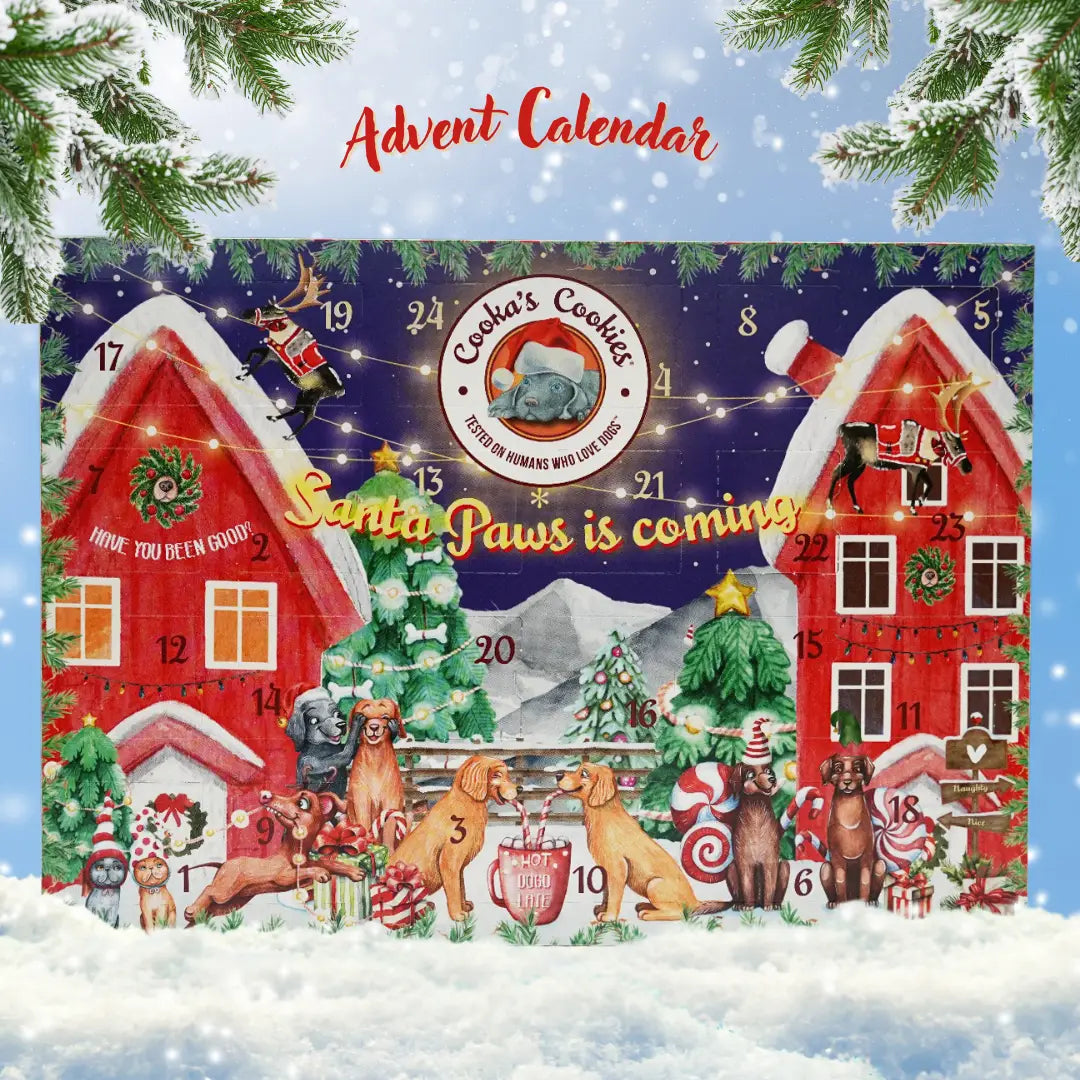 Cooka´s Cookies | Christmas Adventskalender