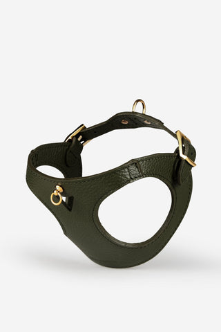 Branni Pets Instaptuig Juno Groen