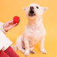 The Furryfolks | Snuffel en Trekspeelgoed - Cherry Tomaatjes