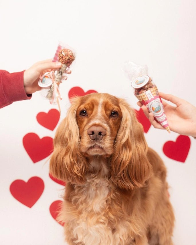 Cooka´s Cookies | Kisses Treats - Kalkoen en Tonijn - Golden Poms