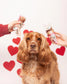 Cooka´s Cookies | Kisses Treats - Kalkoen en Tonijn - Golden Poms