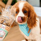 Cooka´s Cookies | Kisses Treats - Kip en Tonijn - Golden Poms