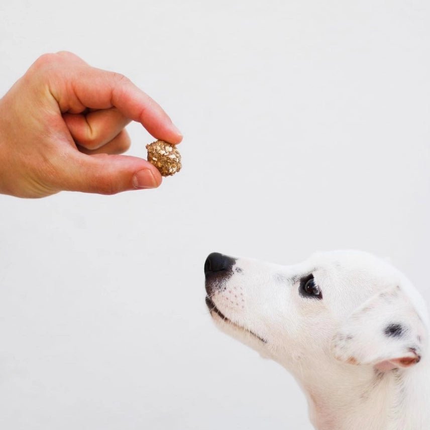 Cooka´s Cookies | Kisses Treats - Sardines en Varken - Golden Poms