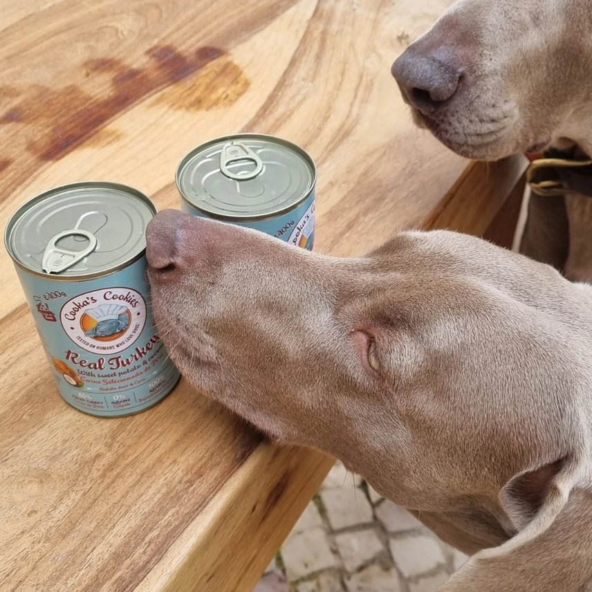 Cooka´s Cookies | Natvoer voor honden - Kalkoen - Golden Poms