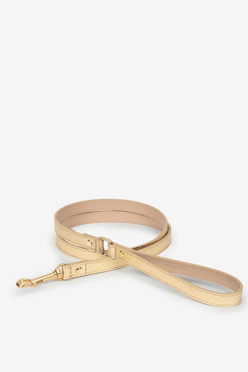 Branni Pets Metallic Lijn Goud