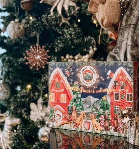 Cooka´s Cookies | Christmas Adventskalender