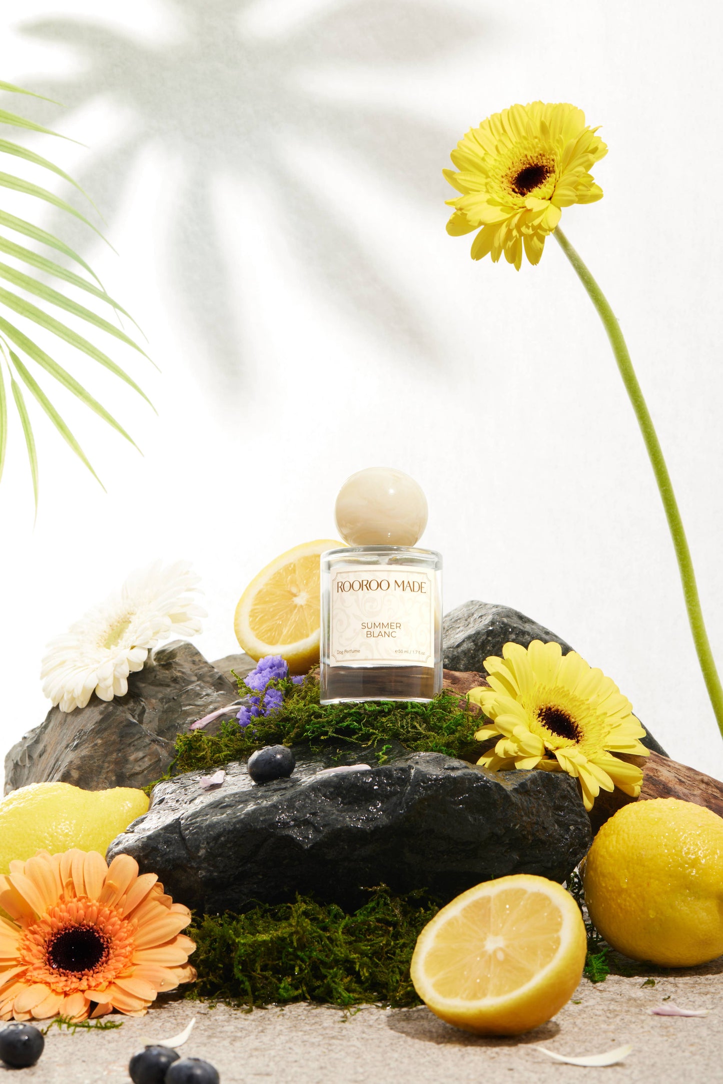 ROOROO MADE - Hondenparfum | SUMMER BLANC