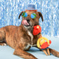The Furryfolks | Snuffelspeelgoed - Surfer Hooman