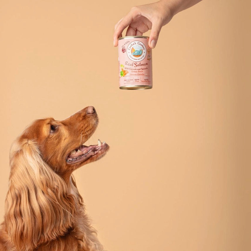 Cooka´s Cookies | Natvoer voor honden - Zalm