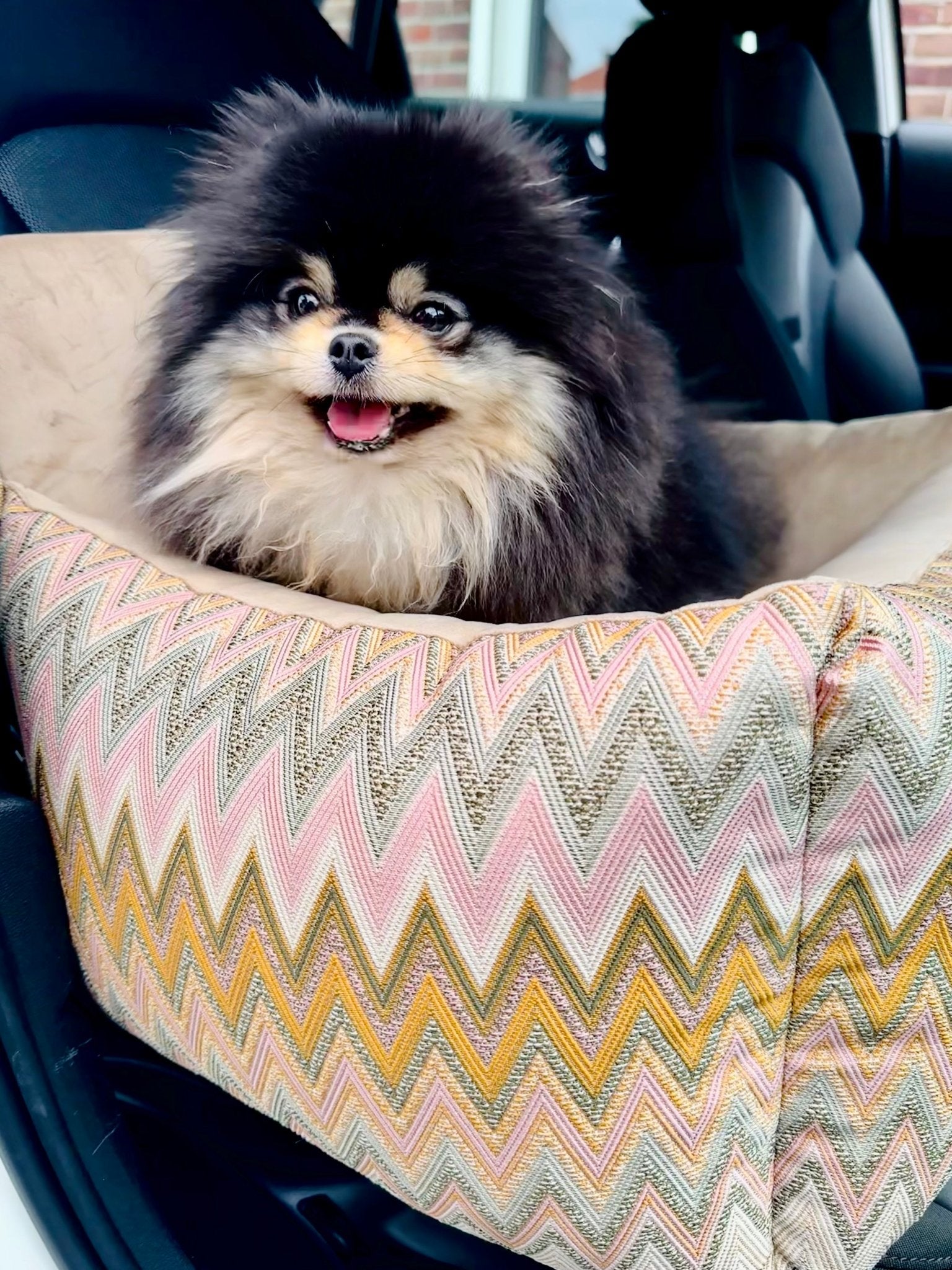 Elite Puppy | Autostoel ZigZag Print - Golden Poms