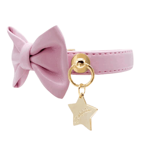 Funkylicious | Halsband Classy Roze
