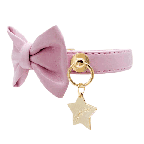 Funkylicious | Halsband Classy Roze