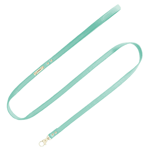 Funkylicious | Lijn Classic Mint