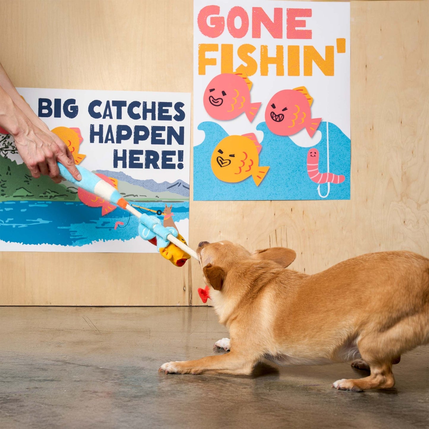 The Furryfolks | Snuffel en Trekspeelgoed - Vishengel - Golden Poms