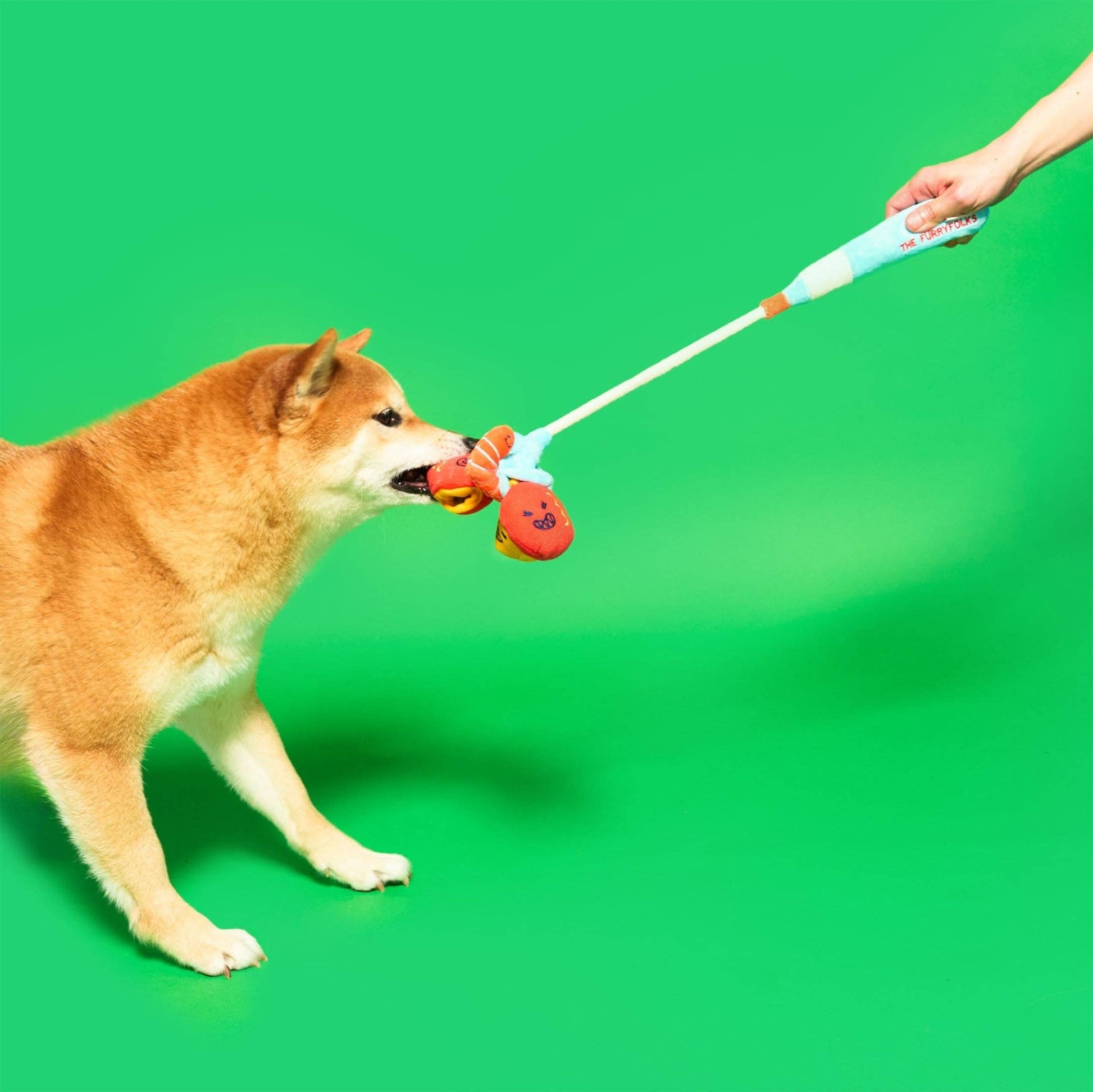 The Furryfolks | Snuffel en Trekspeelgoed - Vishengel - Golden Poms