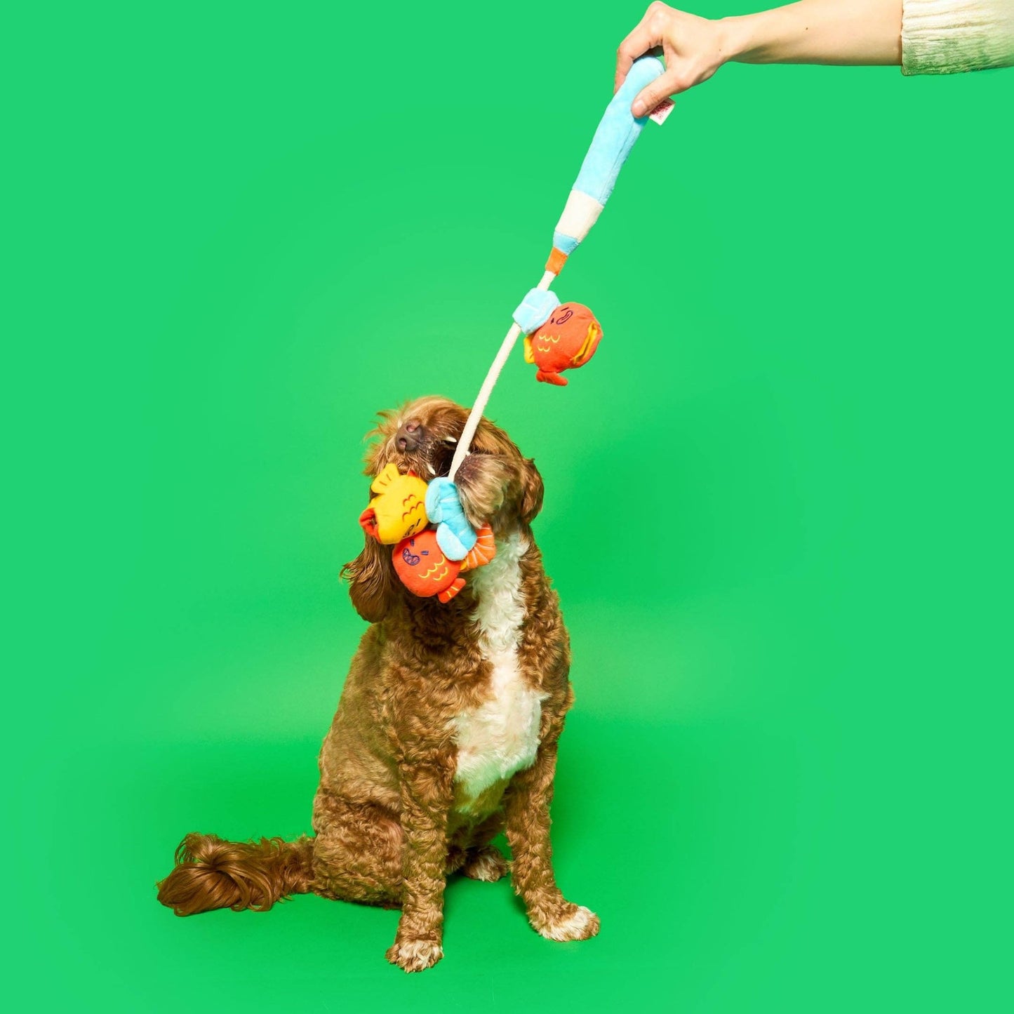 The Furryfolks | Snuffel en Trekspeelgoed - Vishengel - Golden Poms