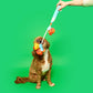 The Furryfolks | Snuffel en Trekspeelgoed - Vishengel - Golden Poms