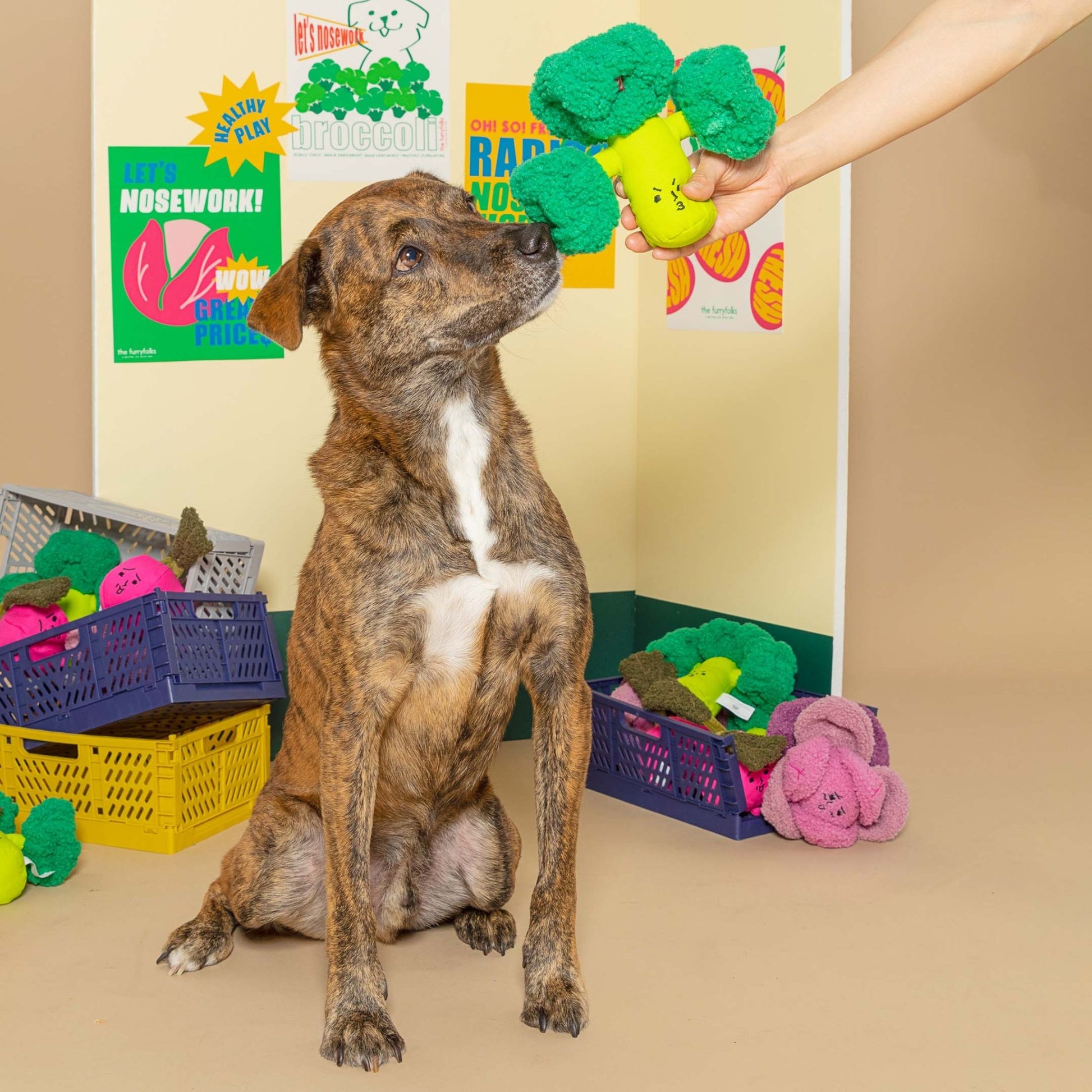 The Furryfolks | Snuffelspeelgoed – Broccoli - Golden Poms