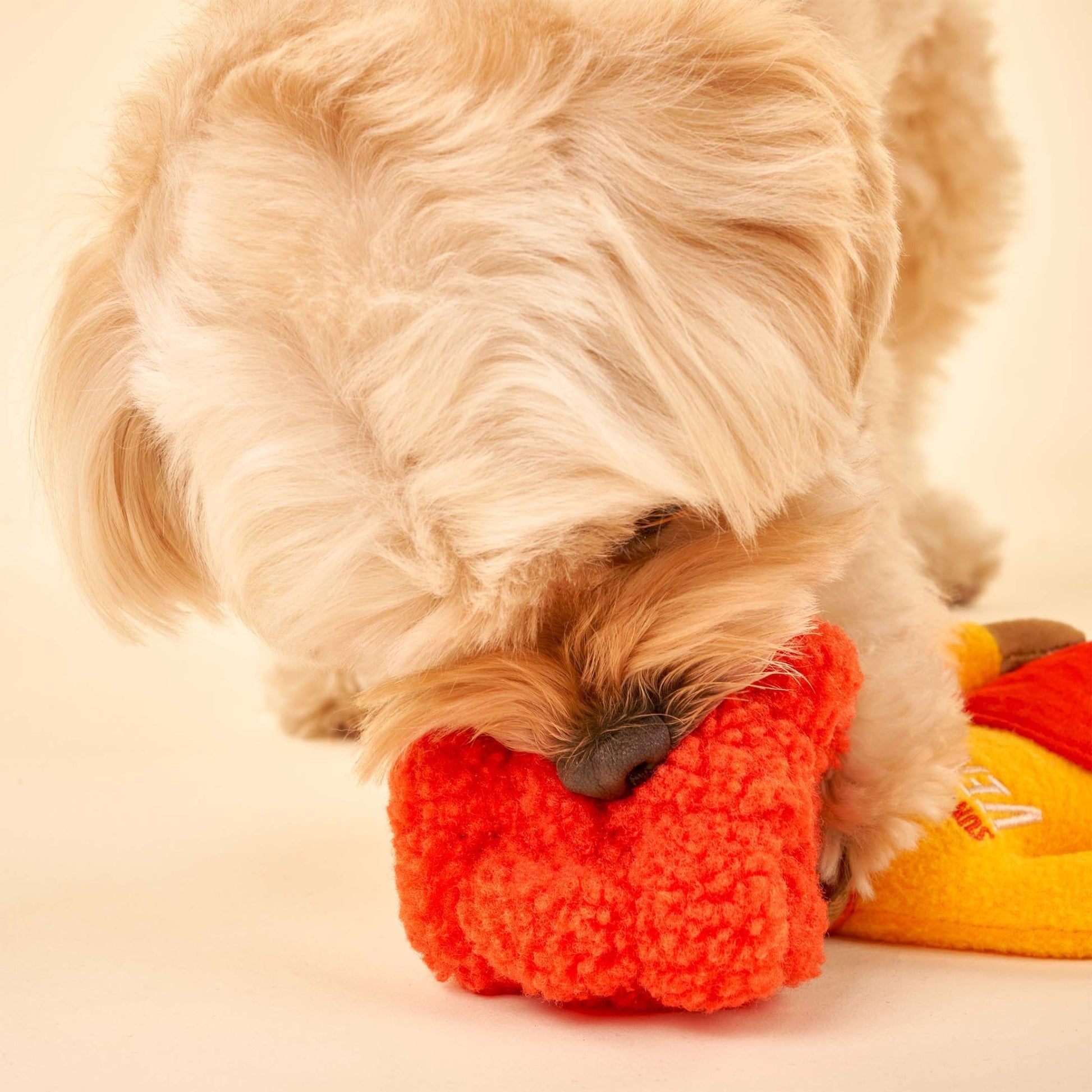 The Furryfolks | Snuffelspeelgoed - Surfer Hooman - Golden Poms