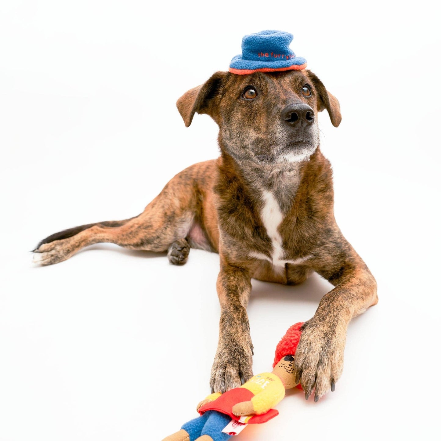 The Furryfolks | Snuffelspeelgoed - Surfer Hooman - Golden Poms