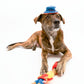 The Furryfolks | Snuffelspeelgoed - Surfer Hooman - Golden Poms