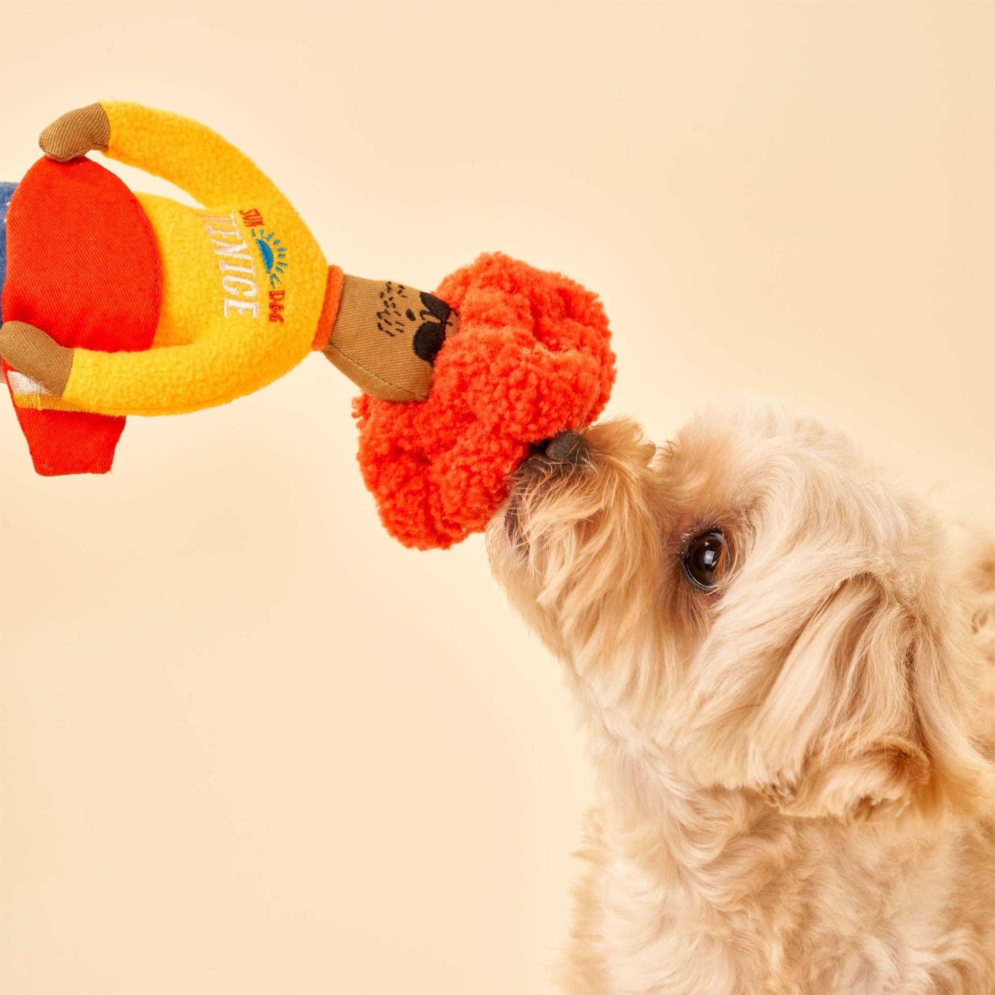 The Furryfolks | Snuffelspeelgoed - Surfer Hooman - Golden Poms
