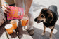 VEGDOG – Pops